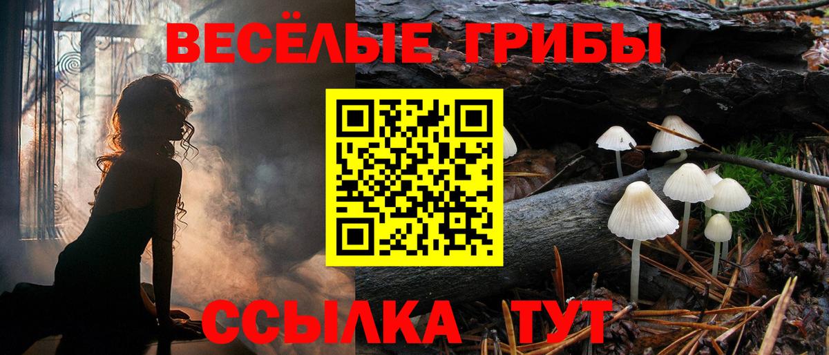 Псилоцибиновые грибы мухоморы  Вход с VPN  купить наркотики цена  Лыткарино 