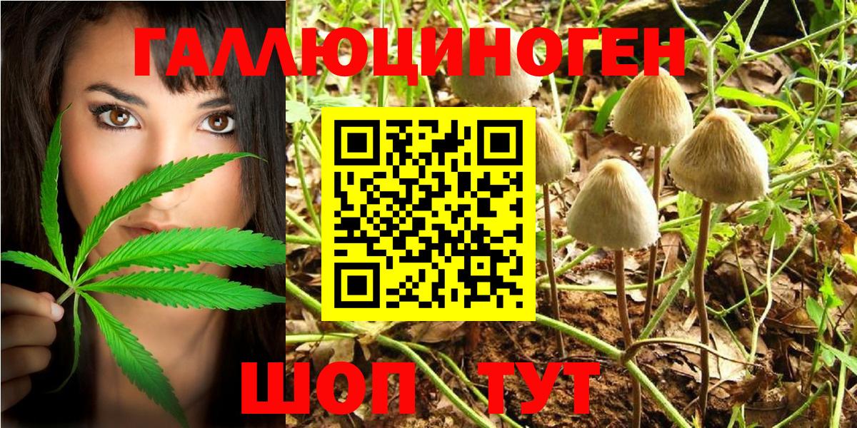 Псилоцибиновые грибы Magic Shrooms Лыткарино